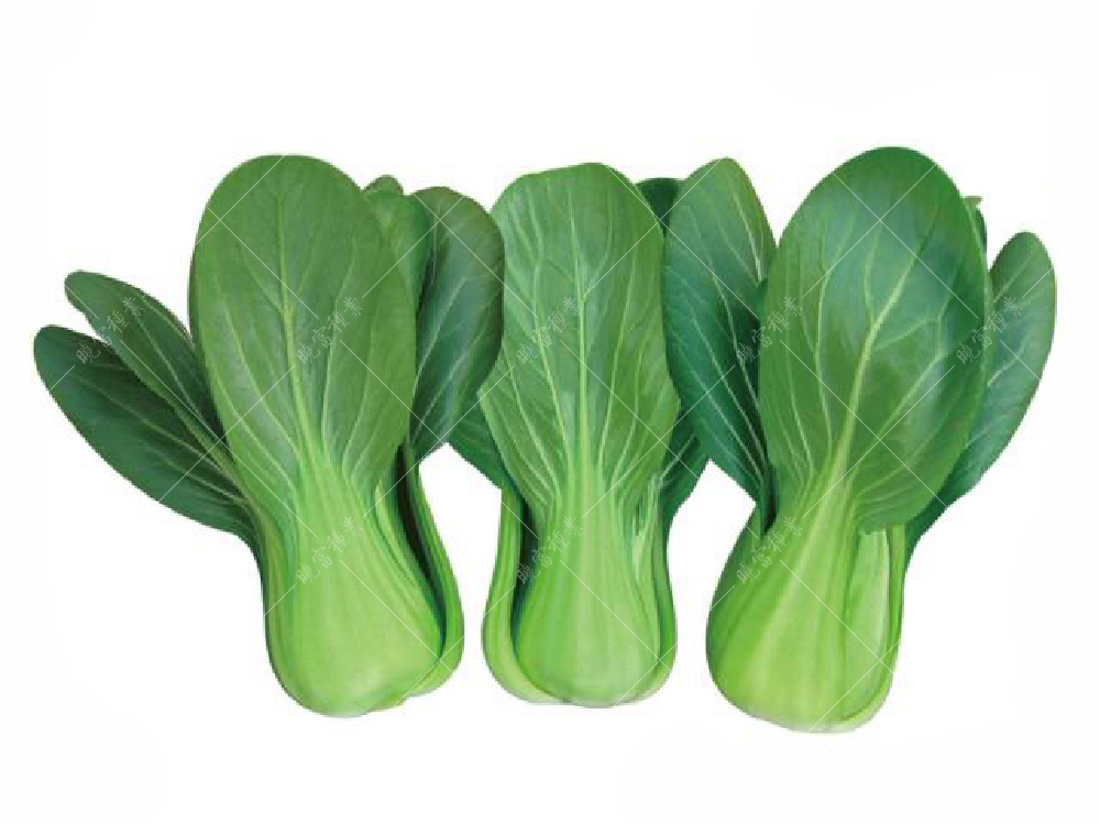 1557814062355623.jpg 珍品·夏.jpg