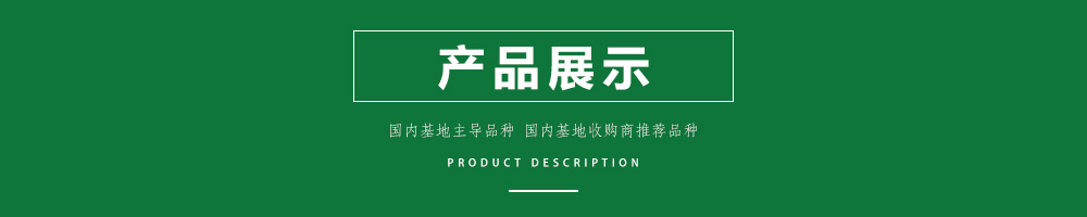 1557968795212348.jpg 00新產(chǎn)品.jpg