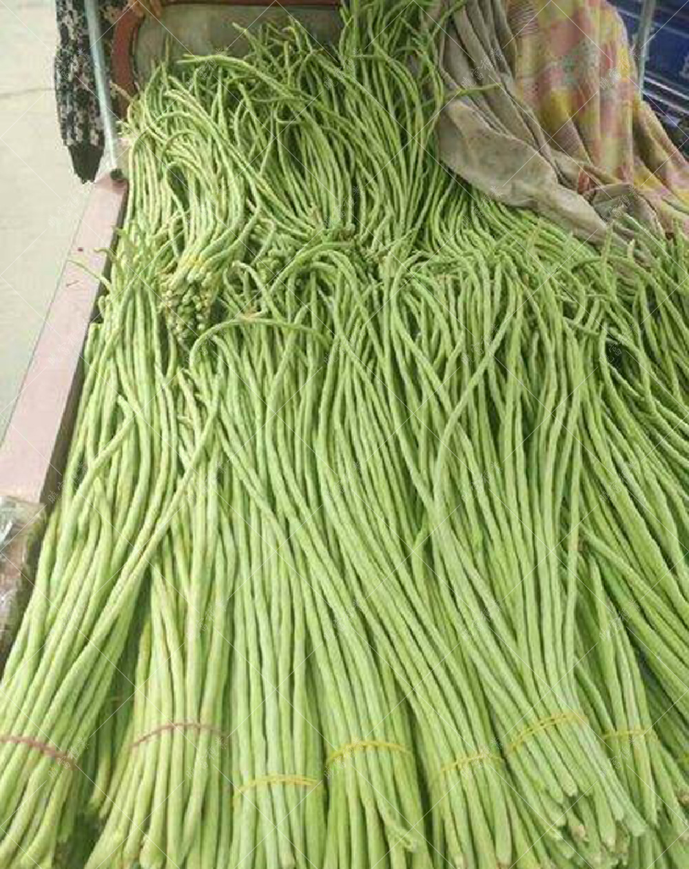 1557986419666876.jpg 55.jpg