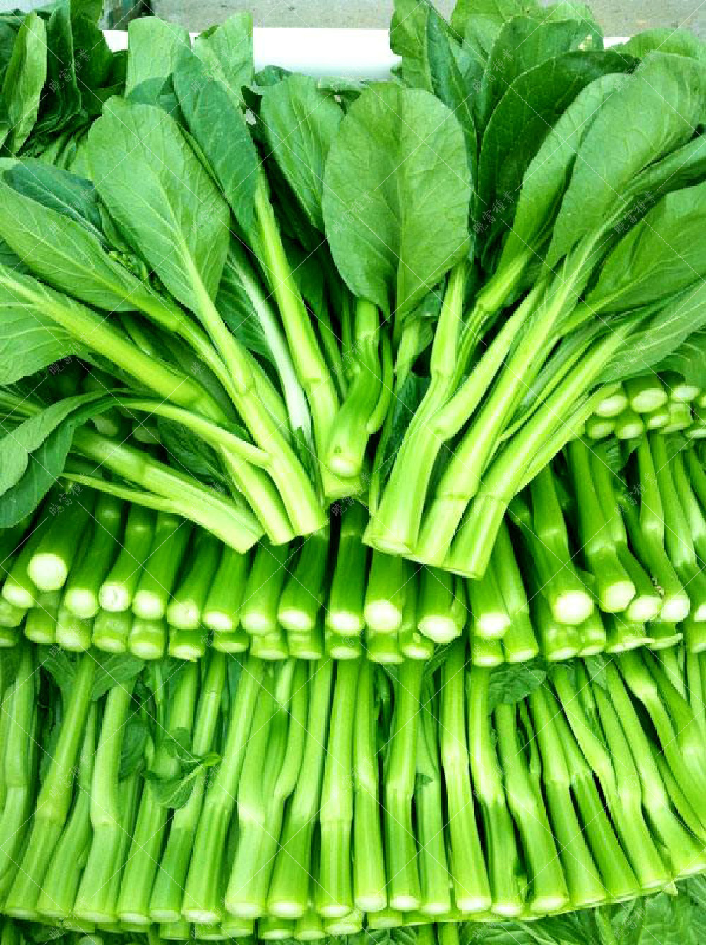 1558577935691563.jpg timg.jpg