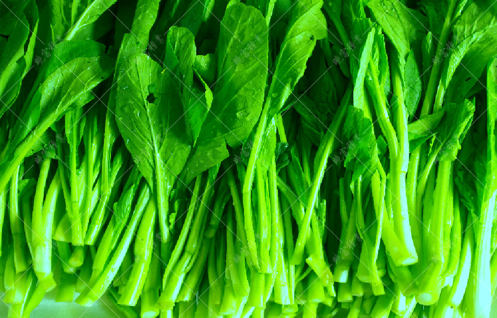 1558595722295903.jpg 未標題-1.jpg