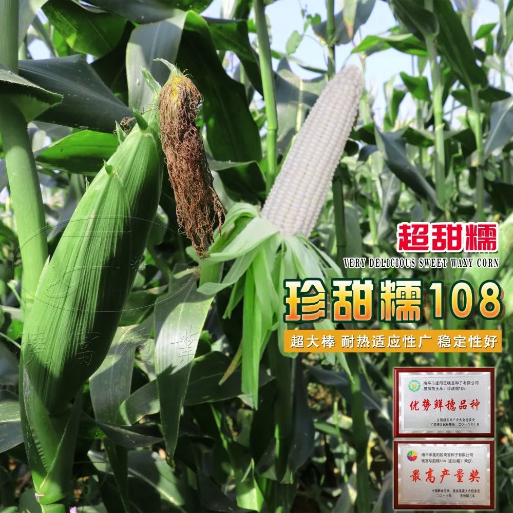 1646191225641958.jpg 03.jpg